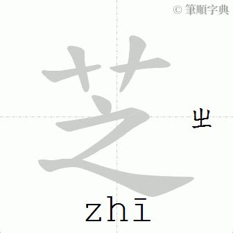 芝 比劃|芝的筆順 國字「芝」筆畫